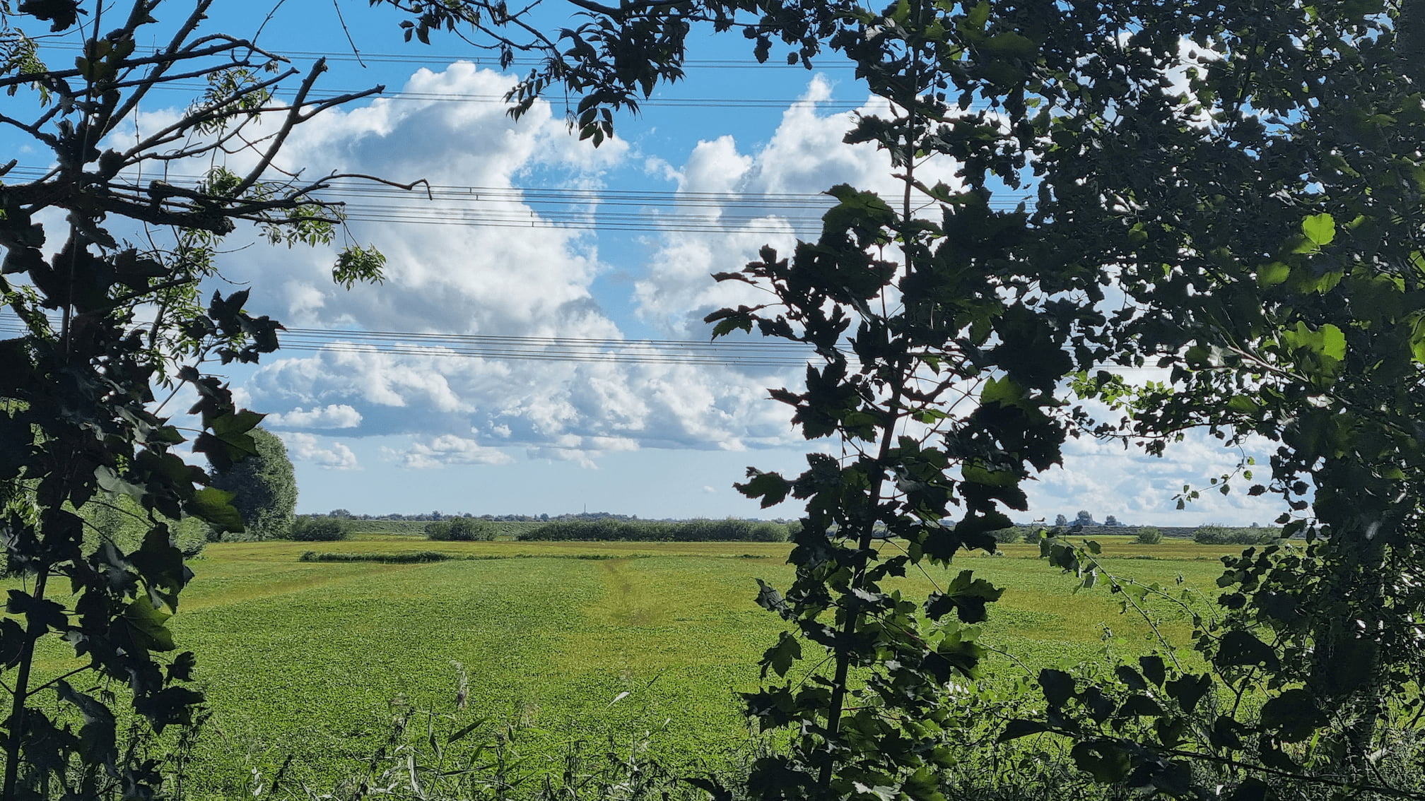 view to Eider-River dyke