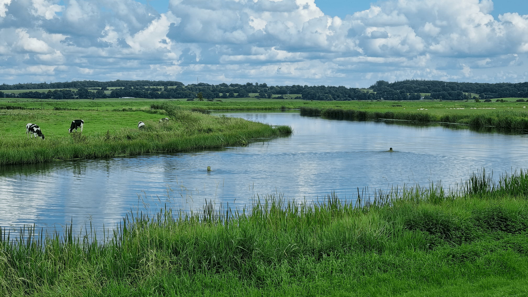 River Treene