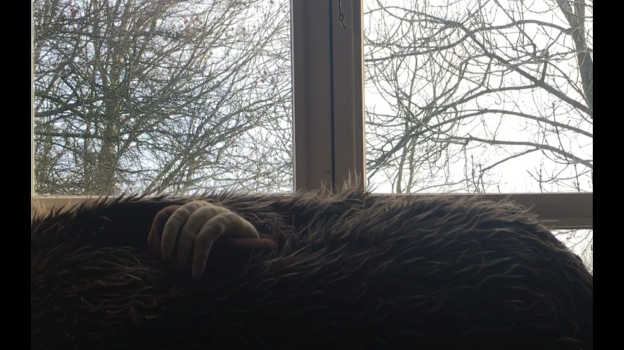 hibernation window-view